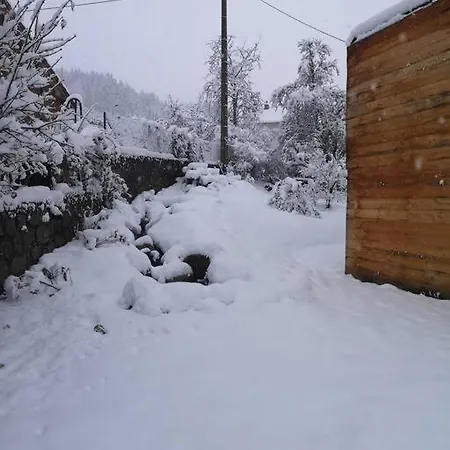 Chez Alixe - Avec Terrasse