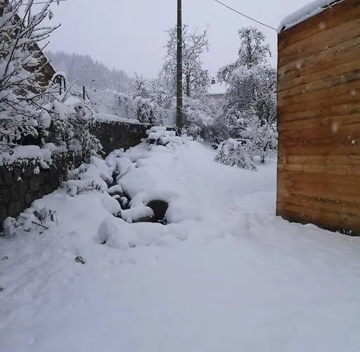 Chez Alixe - Avec Terrasse